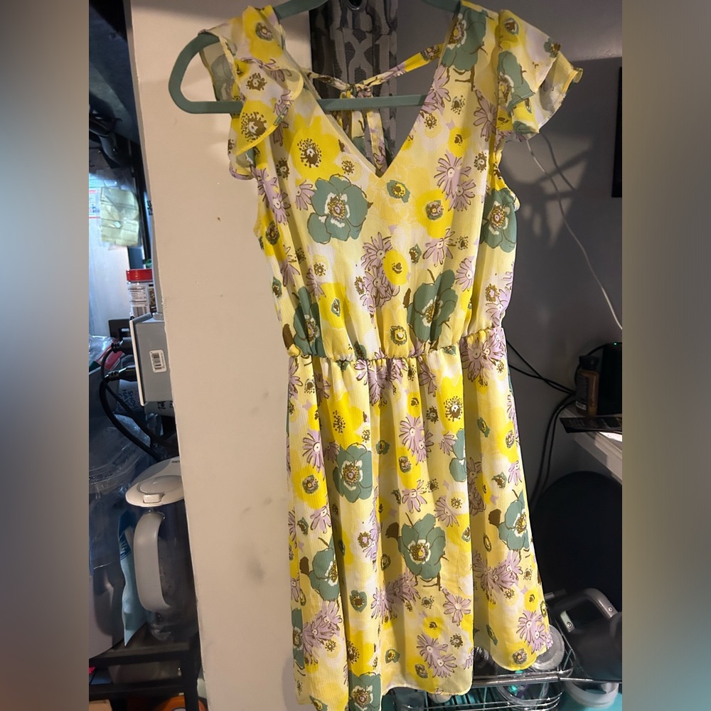 Ann Taylor dress